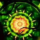 Test de spiritualitate: Ce simbol antic iti reprezinta sufletul?