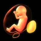 Reizbucneste dezbaterea pe tema avortului