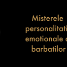 Horoscopul African al barbatilor: Inteligenta emotionala a zodiilor masculine