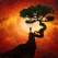 Oameni și copaci - asocieri psihologice și lecții de viață