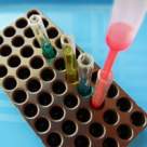 Teste de feritilitate pentru El si Ea