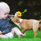 Copiii si animalele de companie