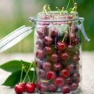 DIETA CU VISINE. Cum sa scapi de grasimea de pe abdomen in 7 zile