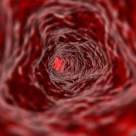 Grupa sanguina  dezvaluie misterele ascunse ale personalitatii tale