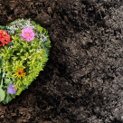 Asta face iubirea: împlinește, completează, adaugă. Este secetă de iubire în lumea întreagă 