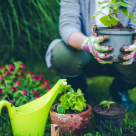 Maximizează-ți economiile cu ofertele magazinelor online de bricolaj