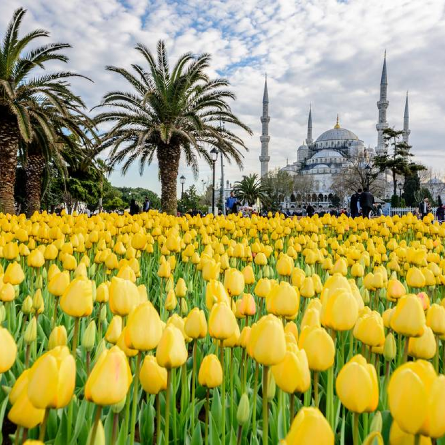 Lalele in Sultanahmet, Istanbul 