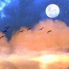 Noaptea de lectură: 11 poezii românești minunate, de citit la Lună plină