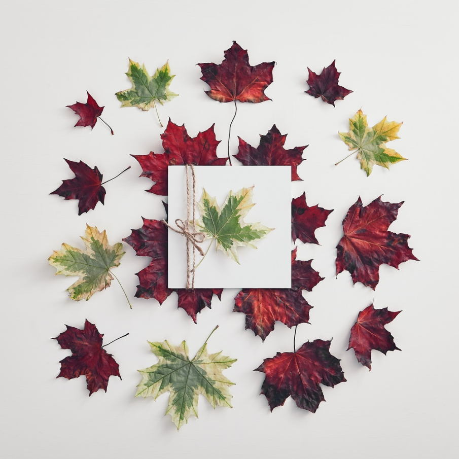 Felicitare de toamnă legată cu sfoară și decorată cu frunză de arțar 