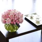 Ghid de gradinarit. Frumoasele regine ale gradinii de toamna