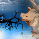  Vindecatorul chinez care a trait 256 de ani: FORMULA MAGICA A VIETII si cele 13 CAUZE ALE BOLII