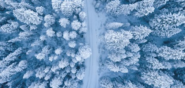 Cum a fost luna decembrie pentru tine?