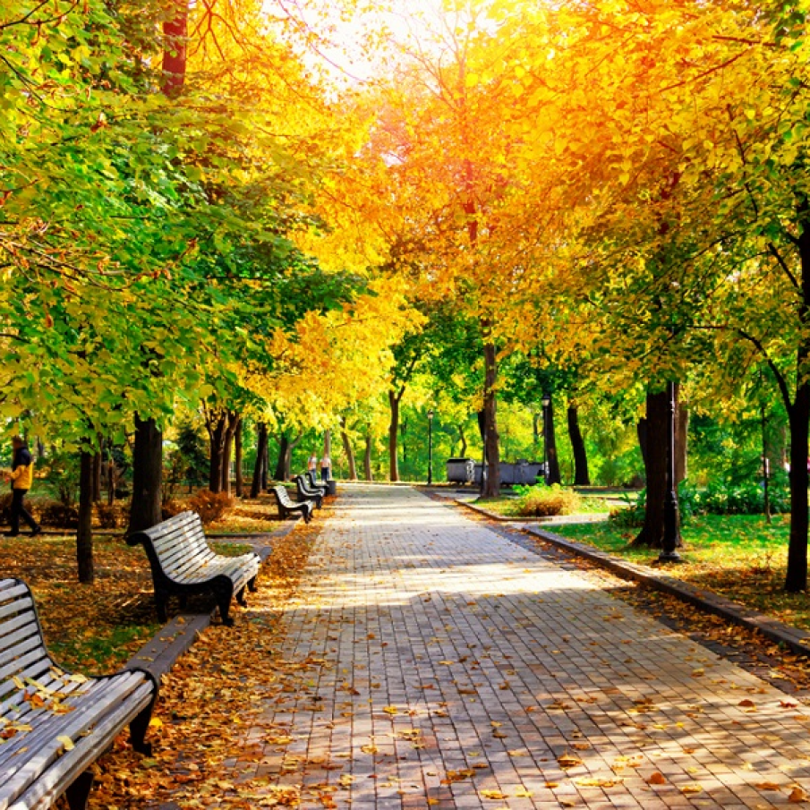 Doar o zi obisnuita de toamna