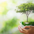 Ziua Internațională a Pământului: 56% dintre români își propun să adopte un stil de viață mai prietenos cu mediul înconjurător