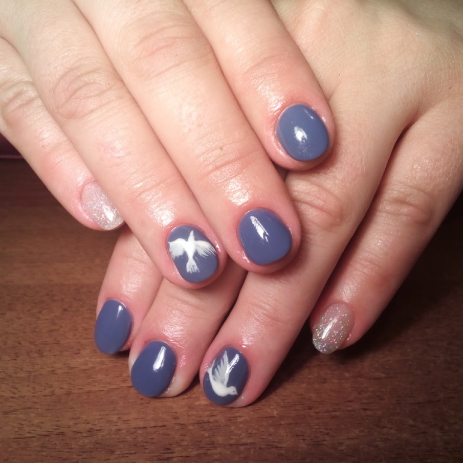 Zbor: Porumbelul, un simbol al libertatii si al primaverii 