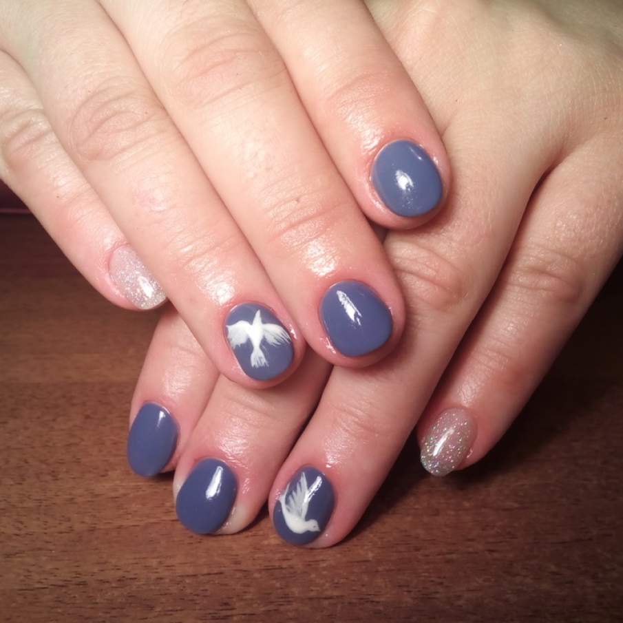 Zbor: Porumbelul, un simbol al libertatii si al primaverii 