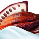 (P) NIVEA lanseaza Laptele de corp cu Unt de Cacao  Hidratare intensa