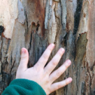 Cum stimulezi imaginatia copilului