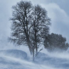 Mihai Eminescu: Când crivățul cu iarna...