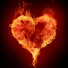 Salvati planeta cu sange rosu: Cine ne polueaza dragostea?