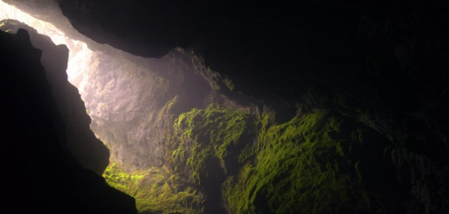 Cine este considerat fondatorul biospeologiei?