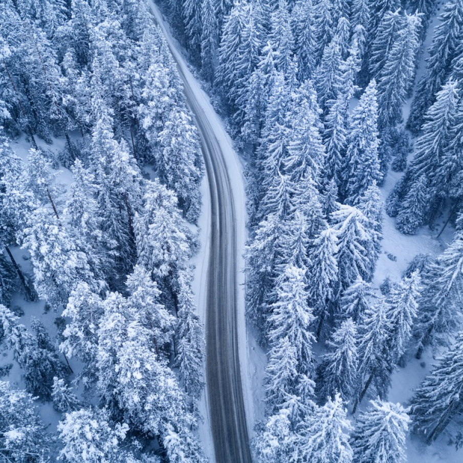 Înserează ea, înserăm și noi. Pădure la înserat 