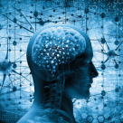 Cel 4 NOI TIPURI DE PERSONALITATE: Obișnuit, Rezervat, Centrat pe sine sau Model de urmat