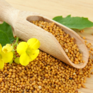 SEMINTELE DE MUSTAR: Fabuloase pentru sanatate! Au efect antiinflamatoriu, previn cancerul si ajuta in slabire