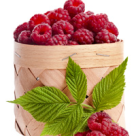 Zmeura - Medicamentul Pamantului