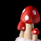 Sanatate naturista: Cele mai eficiente ciuperci medicinale