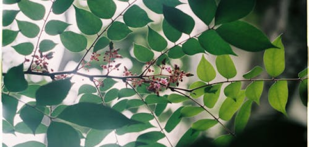 Ai vreun regret cu privire la luna martie?