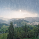 Cele mai frumoase citate despre zilele ploioase de toamnă