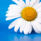 Cred ca voi muri din cauza unor probleme la inima