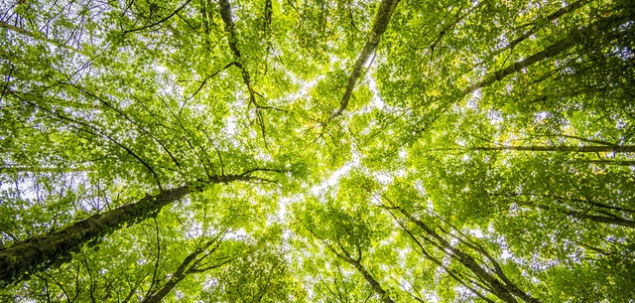 Urmeaza sa pornesti in drumul spre succes. Ce este absolut necesar sa ai cu tine?