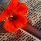 Cum s-a facut de-am ramas fata batrana