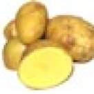 Galuste de cartofi cu carne de pui