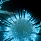 Virusul HPV - informatii pe care orice femeie trebuie sa le cunoasca 