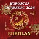 Horoscop chinezesc Șobolan 2026: Experimentezi urcușuri și coborâșuri emoționale.  Anul ispitelor și al încercărilor neașteptate