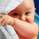 (P) Cum alegi materialul de zidarie pentru locuinta ta?