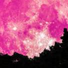 30 aprilie - Lună Roz în Scorpion. Urmează perioada 'Nimic nu se pierde, Totul (TU) se transformă'!