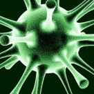  Cancerul: 5 semne care ar trebui sa te alarmeze