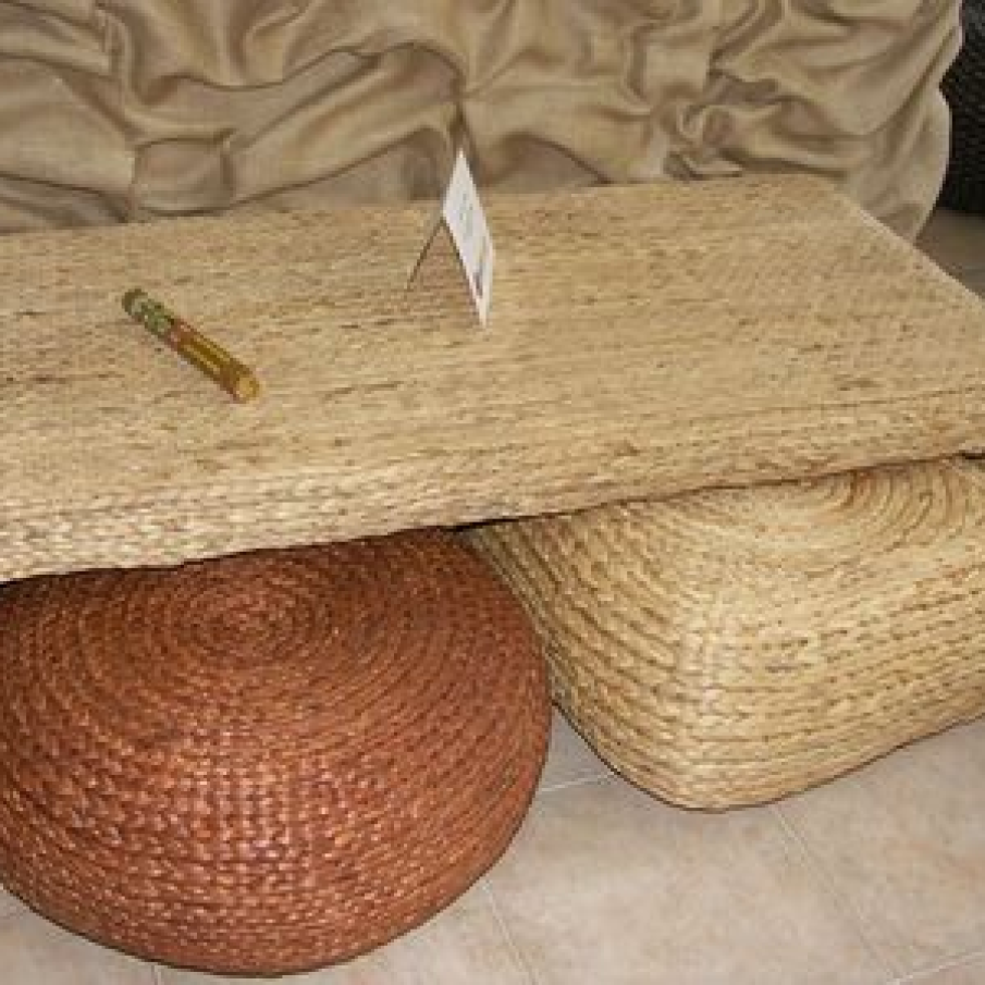 Set Hyacinth