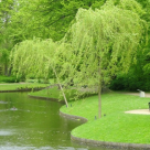 Care sunt cele mai fericite tari din lume