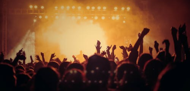 Care este pluralul cuvantului „festival”? 