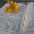 Iubire cu parfum de octombrie