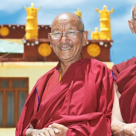 Metoda tibetana de albire a dintilor!