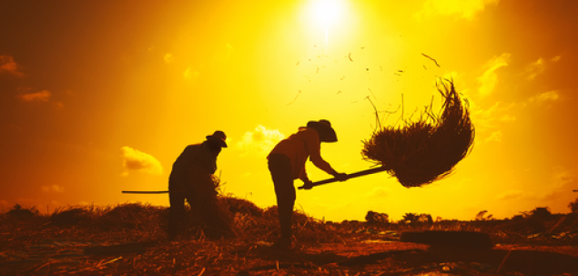 In ce roman apar personajele Guica, Nila si Catrina?