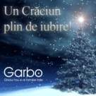 Craciunul este sarbatoarea iubirii. Craciun Fericit tuturor!