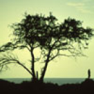 Depresia la varsta medie