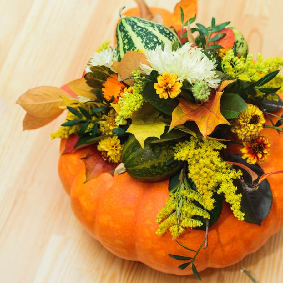 Dovleacul cu dovleci 